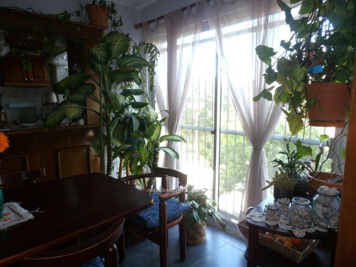 3 bedrooms Apartment in Montevideo, Uruguay No. 10112