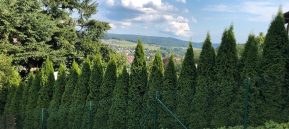 Land in Odenwaldkreis, Germany No. 217878 5