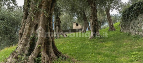 5 bedrooms House in Malcesine, Italy No. 225778 29