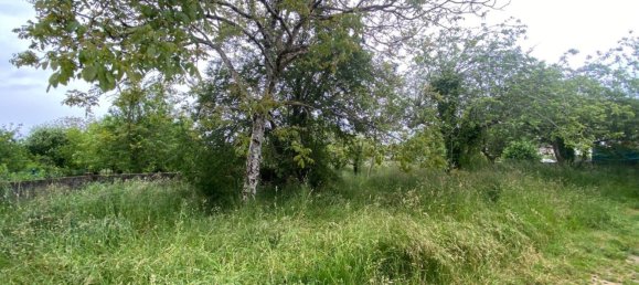  قطعة أرض في Sada, Spain 750متر مربع رقم 44916 7