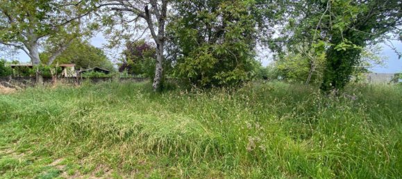  قطعة أرض في Sada, Spain 750متر مربع رقم 44916 9