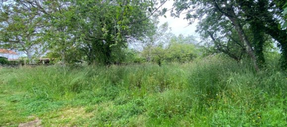  قطعة أرض في Sada, Spain 750متر مربع رقم 44916 8