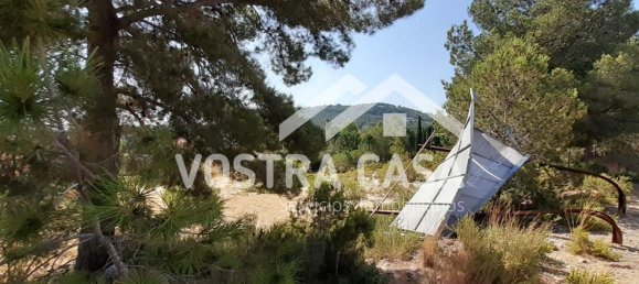 Grundstück in Valencia, Spain 5810m², Nr. 156402 31