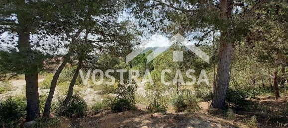 Grundstück in Valencia, Spain 5810m², Nr. 156402 29