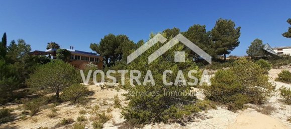 Grundstück in Valencia, Spain 5810m², Nr. 156402 18