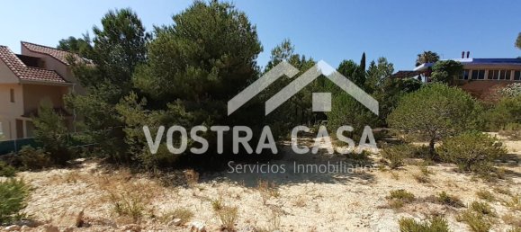 Grundstück in Valencia, Spain 5810m², Nr. 156402 12