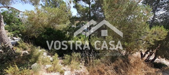 Grundstück in Valencia, Spain 5810m², Nr. 156402 28