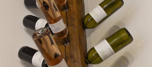 1 bedroom House in Kirchberg am Wagram, Austria No. 193654 31