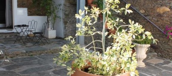 10 Schlafzimmer Grundstück in Mirandela, Portugal, Nr. 194124 34