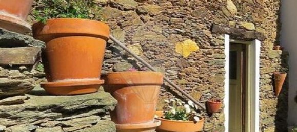 10 Schlafzimmer Grundstück in Mirandela, Portugal, Nr. 194124 4