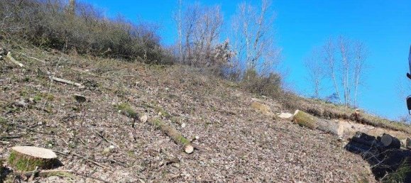 Terreno em Altenkirchen, Germany N.º 134775 8