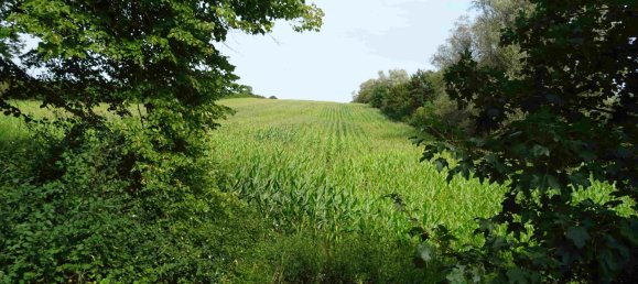 Земельный участок в Восточный Гольштейн, Германия № 66204 10