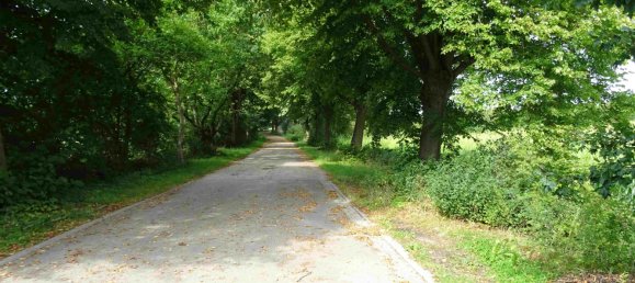 Земельный участок в Восточный Гольштейн, Германия № 66204 9