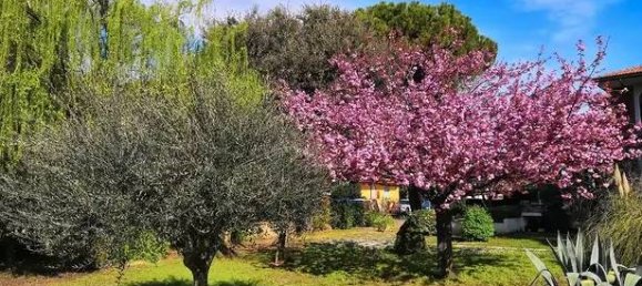 1 room Land in San Mauro Pascoli, Italy No. 146427 4