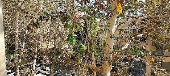 Escritório de 7 divisões em Baku, Azerbaijan N.º 41 16