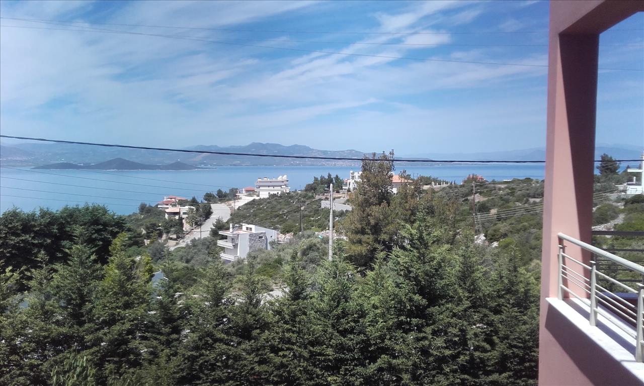 4 bedrooms Commercial property in Phthiotis, Greece No. 6307