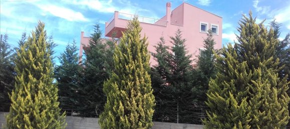 4 bedrooms Commercial property in Phthiotis, Greece No. 6307 3