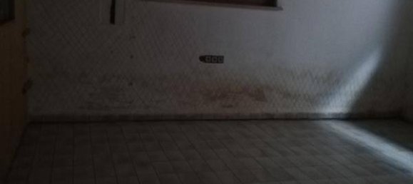 3 bedrooms House in Wiener Neustadt, Austria No. 159756 19