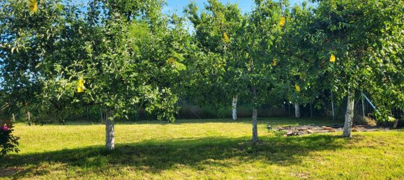 Grundstück in Höxter, Germany, Nr. 217812 20