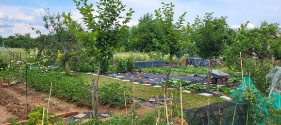 Grundstück in Höxter, Germany, Nr. 217812 12