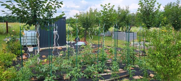 Grundstück in Höxter, Germany, Nr. 217812 11