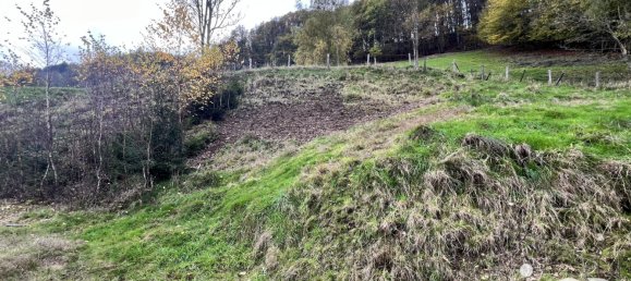 Grundstück in Sainte-Marie-aux-Mines, France, Nr. 41581 5