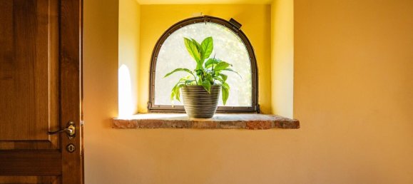 3 chambres Maison à Fauglia, Italy No. 291818 33