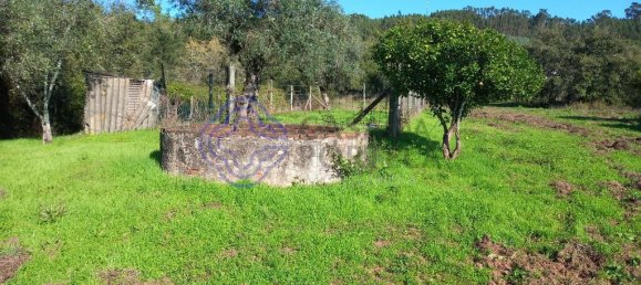 3 Schlafzimmer Haus in Torres Novas, Portugal, Nr. 14518 29