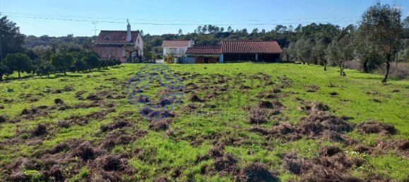3 Schlafzimmer Haus in Torres Novas, Portugal, Nr. 14518 32