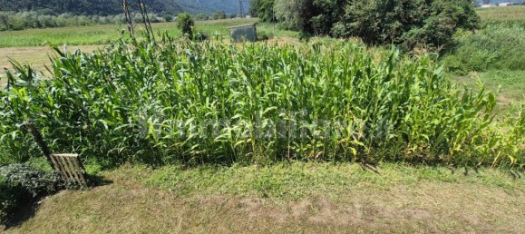 Дом с 4 комнатами в Самолако, Италия № 114598 4