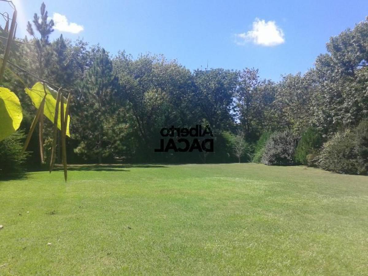  Land in Campo Creado, Argentina No. 41175