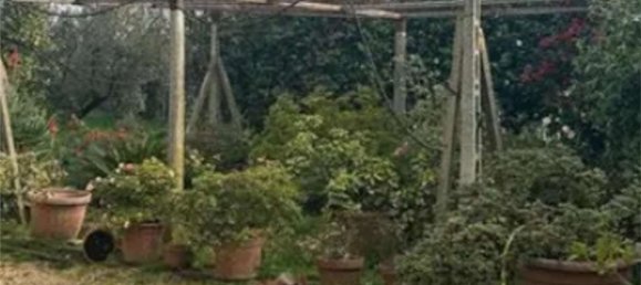 7 rooms House in Velletri, Italy No. 279990 7