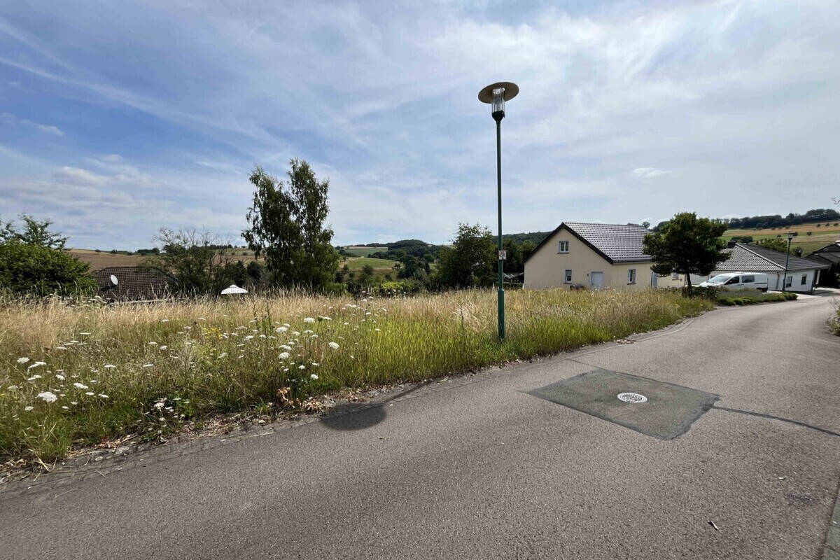  Land in Rhineland-Palatinate, Germany No. 271853