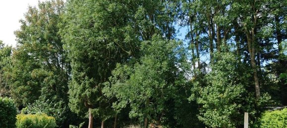 Таунхаус с 6 комнатами в Штайнбург, Германия № 320864 5