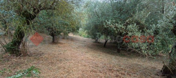 Дом с 2 спальнями в Викальви, Италия № 54912 10