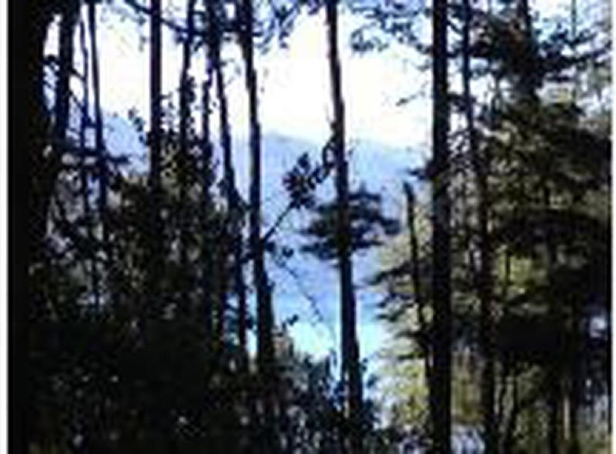 Grundstück in Neuquen, Argentina, Nr. 30687