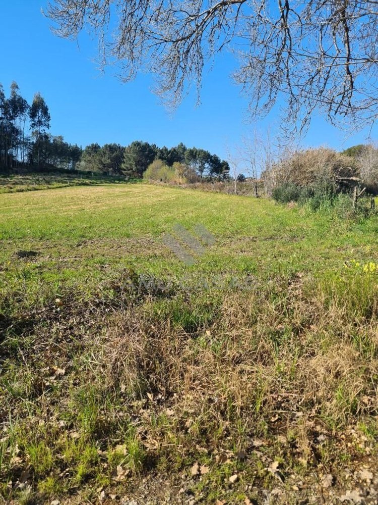 2160m² Land in Aveiro, Portugal No. 73810