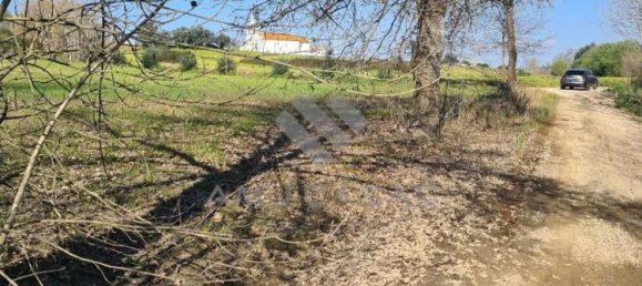 2160m² Land in Aveiro, Portugal No. 73810 2
