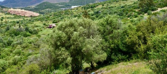  Land in Estepona, Spain No. 155294 8