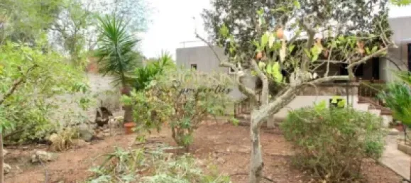 Casa de 5 dormitorios en Mallorca, Spain No. 173902 4