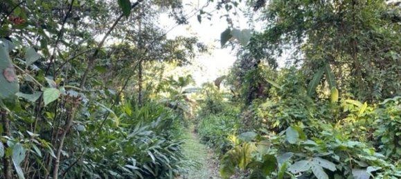 Terrain à Upala, Costa Rica No. 1522 2