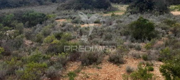 1960m² Land in Quelfes, Portugal No. 36010 11