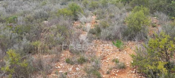 1960m² Land in Quelfes, Portugal No. 36010 8