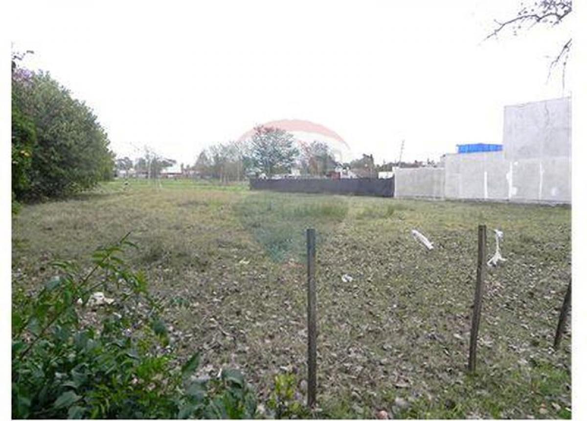  Land in Campo Creado, Argentina No. 37606