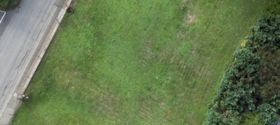  Land in Hirtzbach, France No. 86844 2