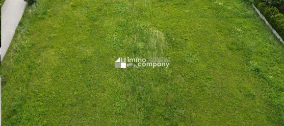 Land in Zeiselmauer-Wolfpassing, Austria No. 136470 6