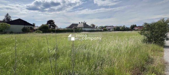 Land in Zeiselmauer-Wolfpassing, Austria No. 136470 2