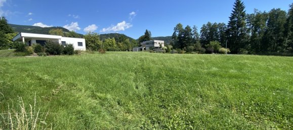  Land in Murtal, Austria No. 243119 15