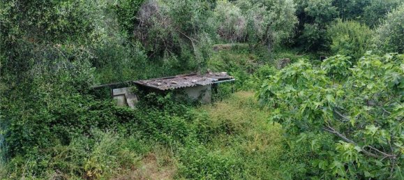 Дом с 5 спальнями в Сан Бартоломео аль Маре, Италия № 339897 22