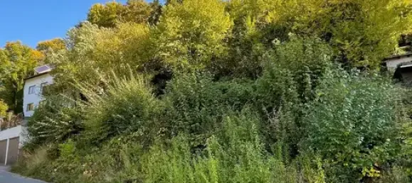 Grundstück in Rhein-Neckar-Kreis, Germany, Nr. 46854 2